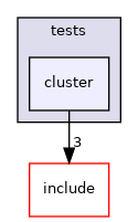 lib/cluster/tests/cluster